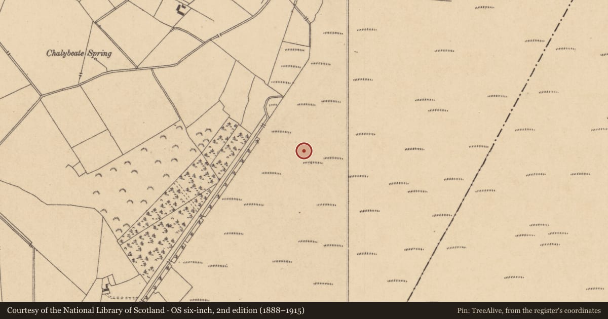 Ordnance Survey six-inch map, 2nd edition (1888–1915) covering the location of Road - unclassified togher, Drehid, County Kildare, with a pin at the register's coordinates