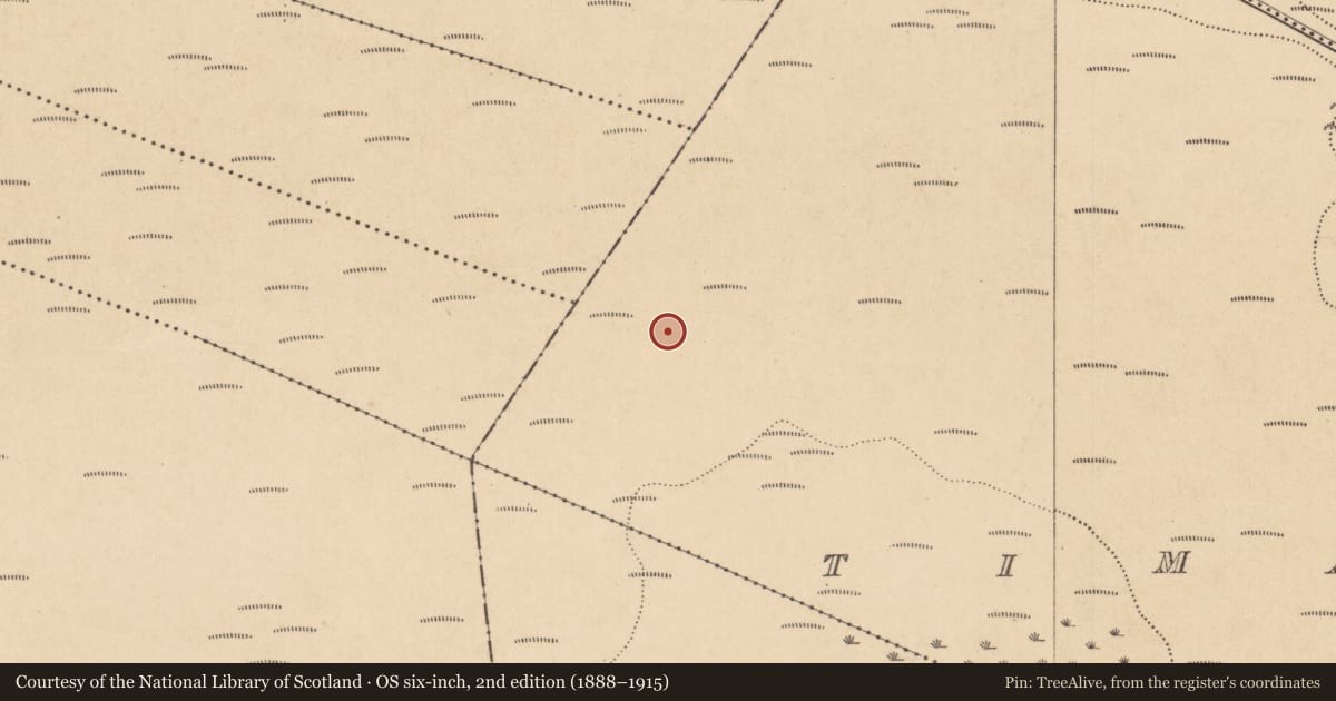 Ordnance Survey six-inch map, 2nd edition (1888–1915) covering the location of Road - class 1 togher, County Kildare, with a pin at the register's coordinates