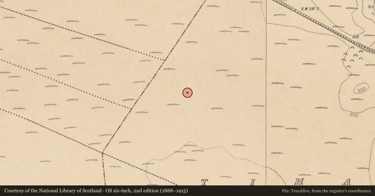 Ordnance Survey six-inch map, 2nd edition (1888–1915) covering the location of Road - class 1 togher, County Kildare, with a pin at the register's coordinates