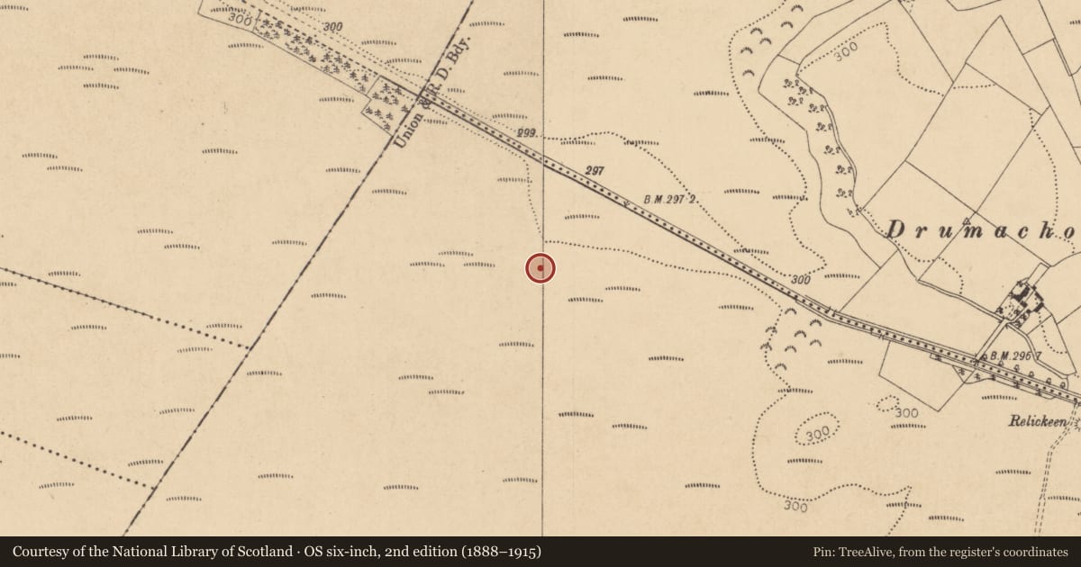 Ordnance Survey six-inch map, 2nd edition (1888–1915) covering the location of Road - class 2 togher, Timahoe West, County Kildare, with a pin at the register's coordinates