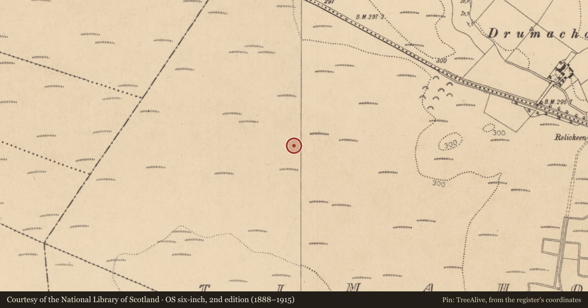 Ordnance Survey six-inch map, 2nd edition (1888–1915) covering the location of Road - class 2 togher, Timahoe West, County Kildare, with a pin at the register's coordinates