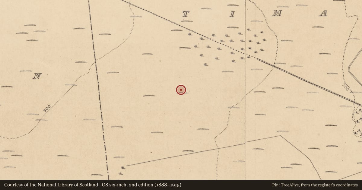 Ordnance Survey six-inch map, 2nd edition (1888–1915) covering the location of Road - unclassified togher, Coolcarrigan, County Kildare, with a pin at the register's coordinates
