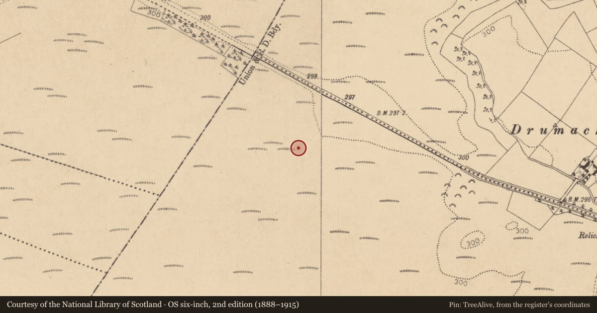 Ordnance Survey six-inch map, 2nd edition (1888–1915) covering the location of Structure - peatland, Timahoe West, County Kildare, with a pin at the register's coordinates