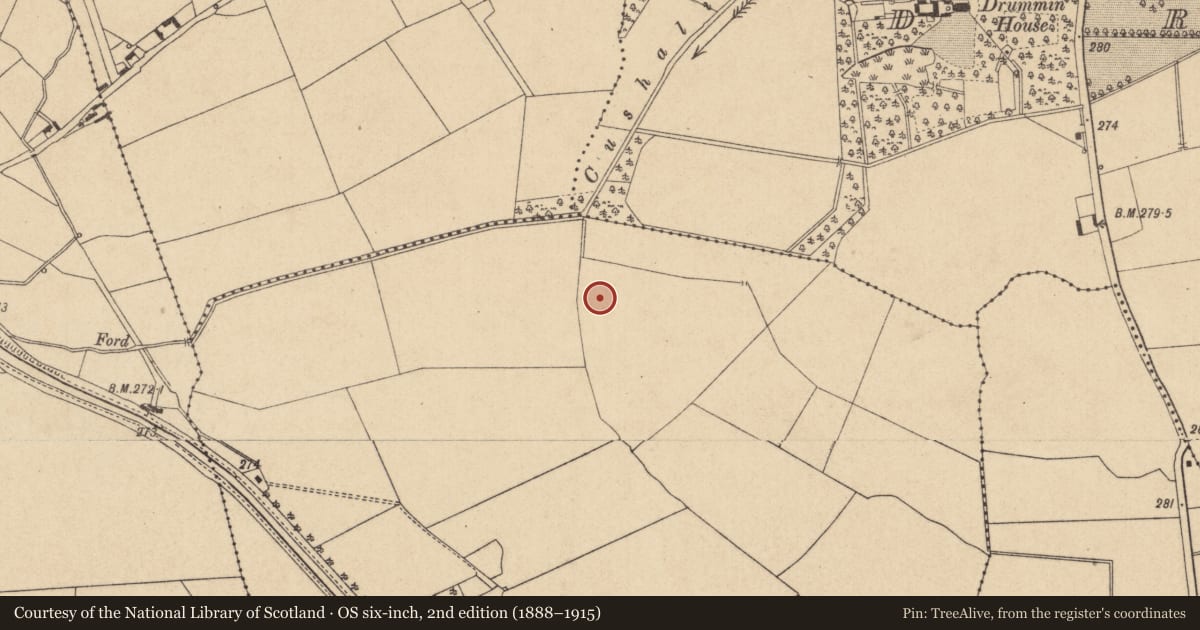 Ordnance Survey six-inch map, 2nd edition (1888–1915) covering the location of Ring-ditch, Kilpatrick, County Kildare, with a pin at the register's coordinates