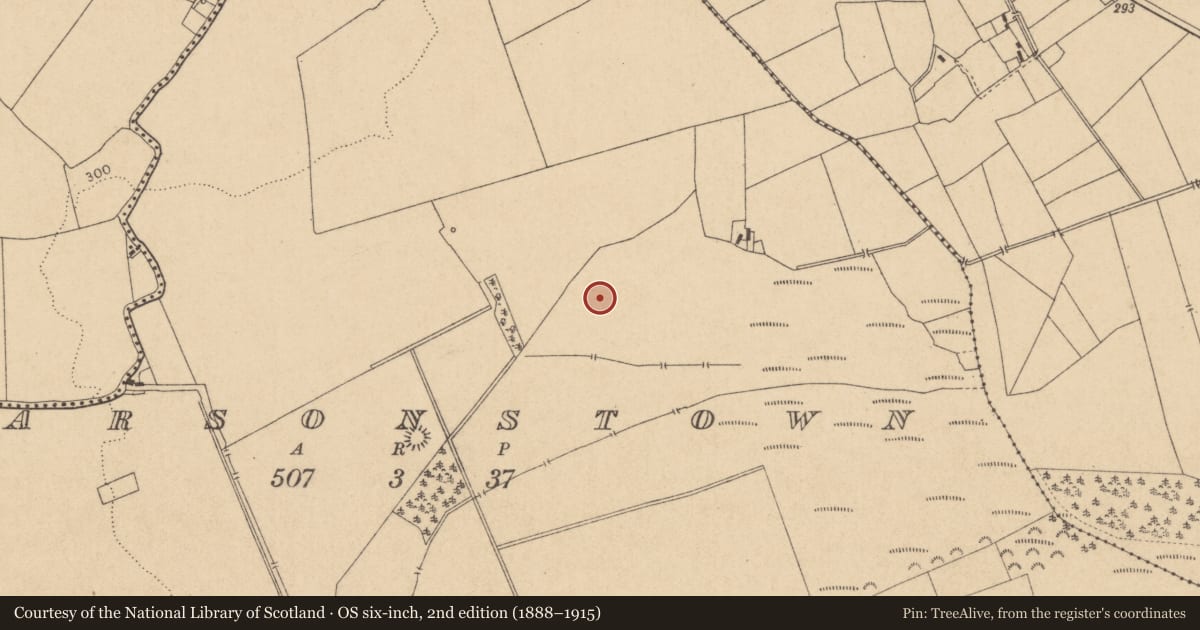 Ordnance Survey six-inch map, 2nd edition (1888–1915) covering the location of Moated site, Parsonstown, County Kildare, with a pin at the register's coordinates
