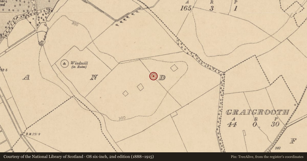 Ordnance Survey six-inch map, 2nd edition (1888–1915) covering the location of Ringfort - unclassified, Hortland, County Kildare, with a pin at the register's coordinates