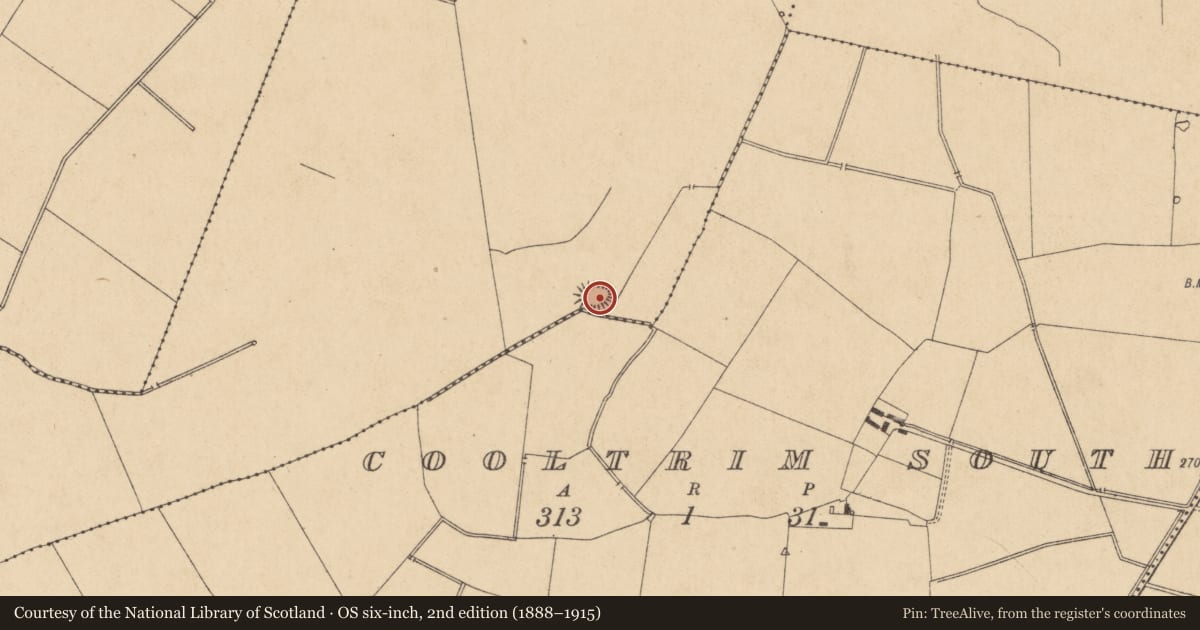 Ordnance Survey six-inch map, 2nd edition (1888–1915) covering the location of Ringfort - rath, Fanaghs, County Kildare, with a pin at the register's coordinates