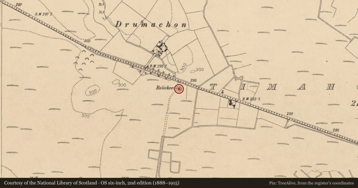 Ordnance Survey six-inch map, 2nd edition (1888–1915) covering the location of Road - road/trackway, Timahoe West, County Kildare, with a pin at the register's coordinates