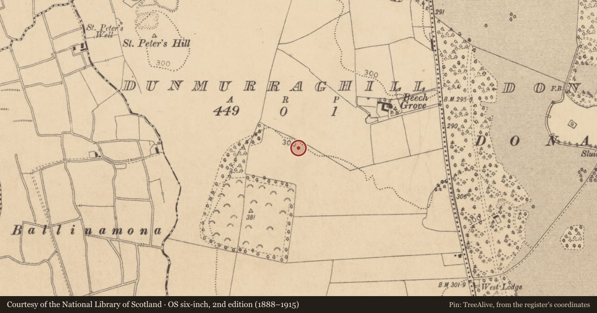 Ordnance Survey six-inch map, 2nd edition (1888–1915) covering the location of Church, Dunmurraghill, County Kildare, with a pin at the register's coordinates