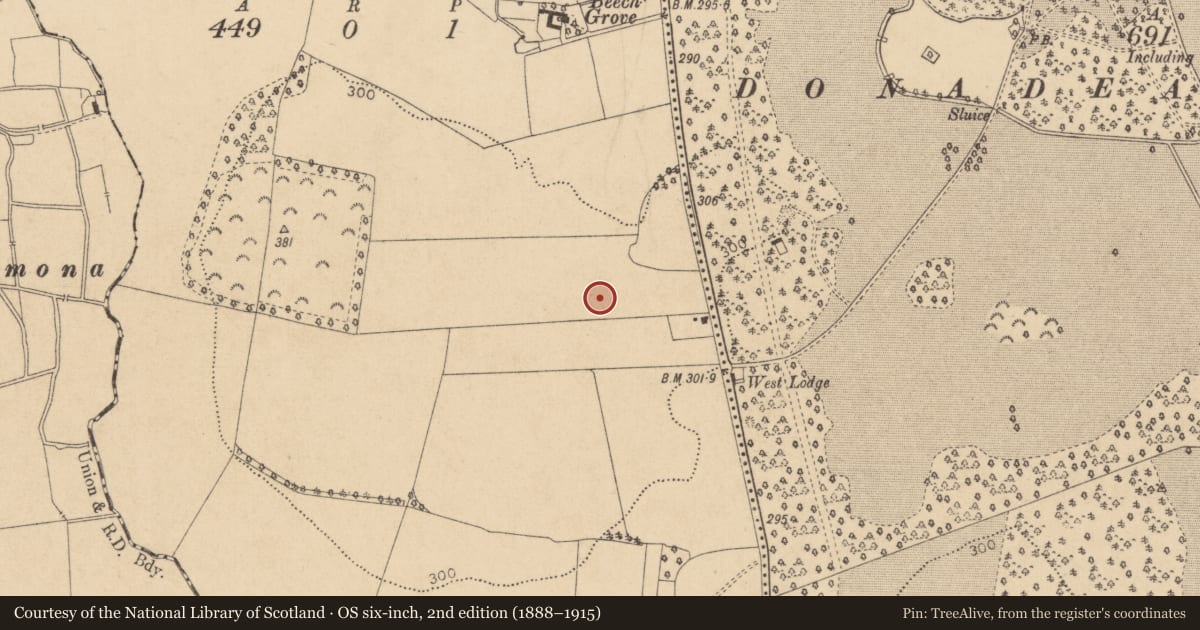 Ordnance Survey six-inch map, 2nd edition (1888–1915) covering the location of Standing stone, Dunmurraghill, County Kildare, with a pin at the register's coordinates