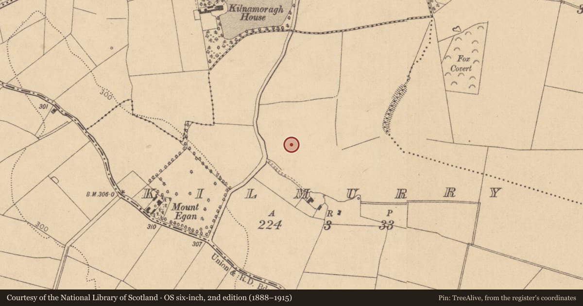 Ordnance Survey six-inch map, 2nd edition (1888–1915) covering the location of Building, Kilmurry, County Kildare, with a pin at the register's coordinates