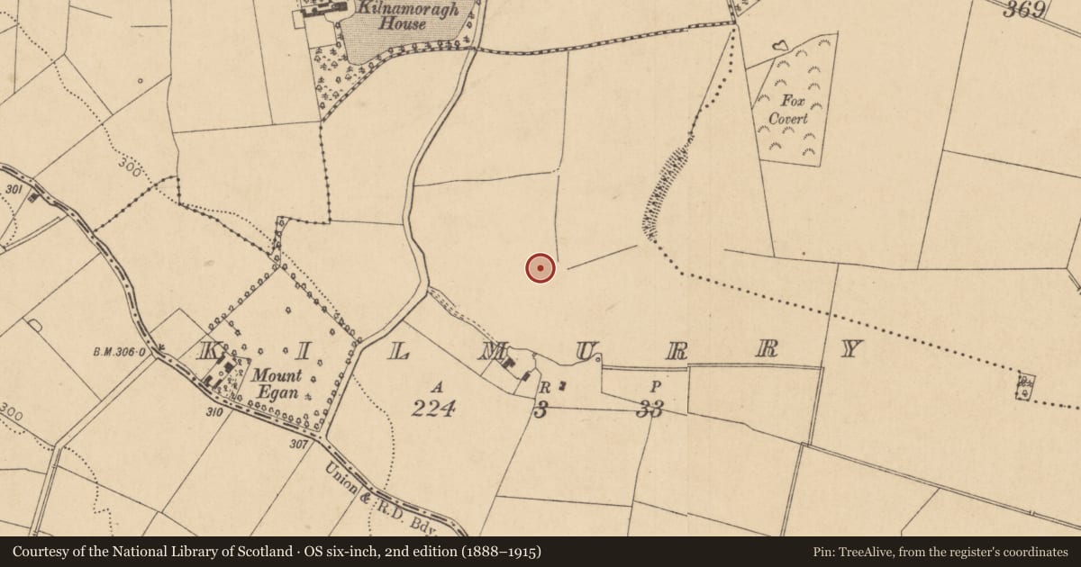 Ordnance Survey six-inch map, 2nd edition (1888–1915) covering the location of Burnt mound, Kilmurry, County Kildare, with a pin at the register's coordinates