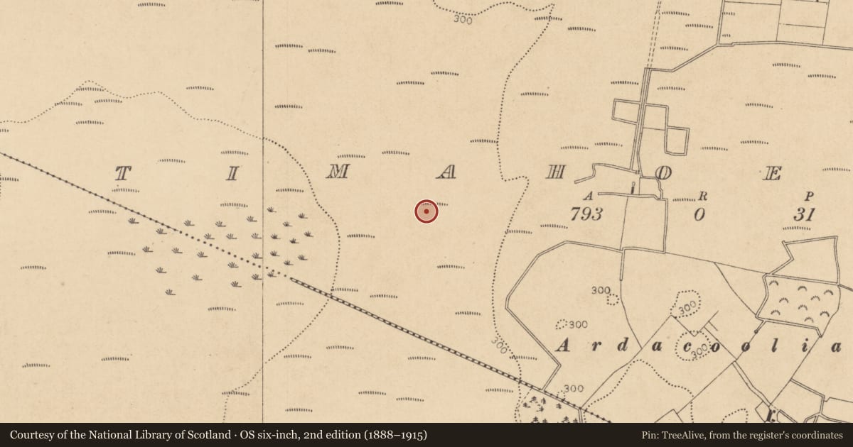 Ordnance Survey six-inch map, 2nd edition (1888–1915) covering the location of Structure - peatland, Timahoe West, County Kildare, with a pin at the register's coordinates