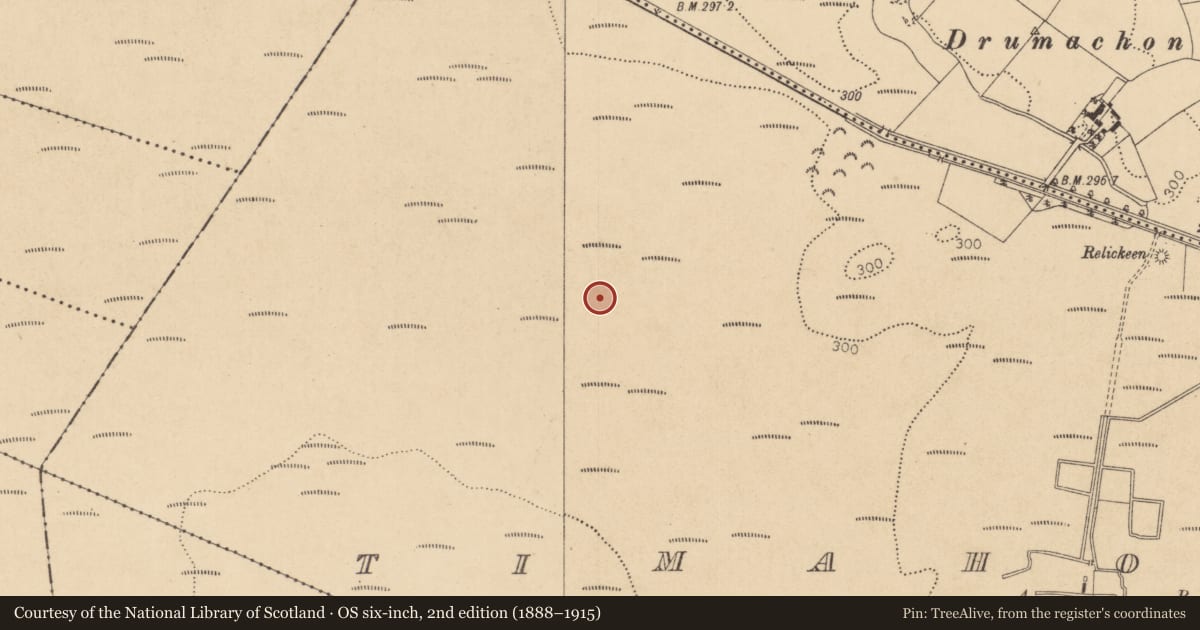 Ordnance Survey six-inch map, 2nd edition (1888–1915) covering the location of Structure - peatland, Timahoe West, County Kildare, with a pin at the register's coordinates