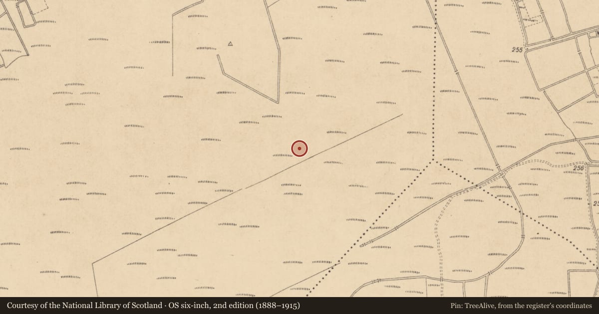 Ordnance Survey six-inch map, 2nd edition (1888–1915) covering the location of Road - class 1 togher, Derryvarroge, County Kildare, with a pin at the register's coordinates