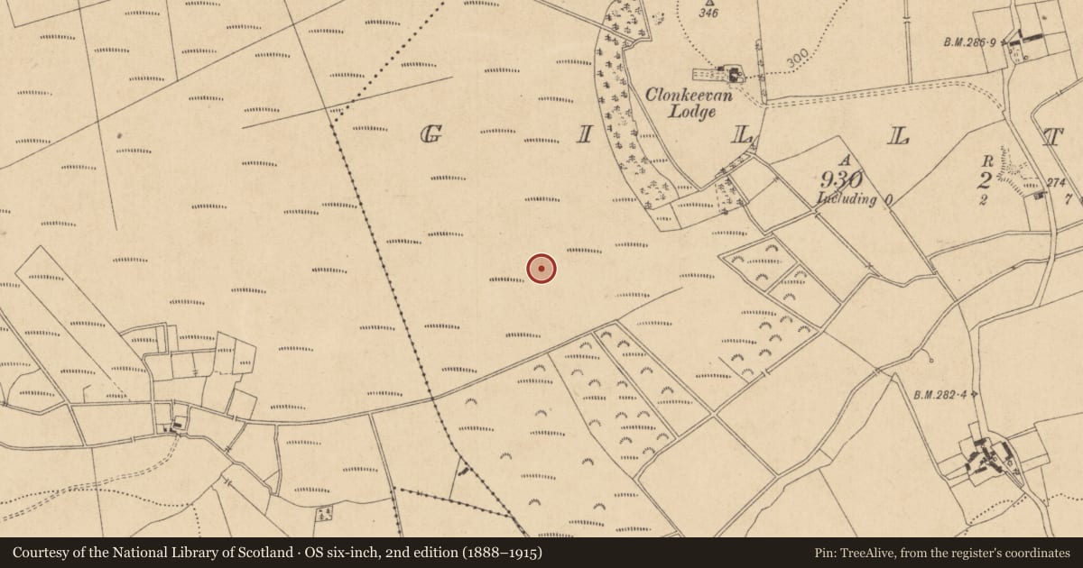 Ordnance Survey six-inch map, 2nd edition (1888–1915) covering the location of Road - class 1 togher, Gilltown, County Kildare, with a pin at the register's coordinates