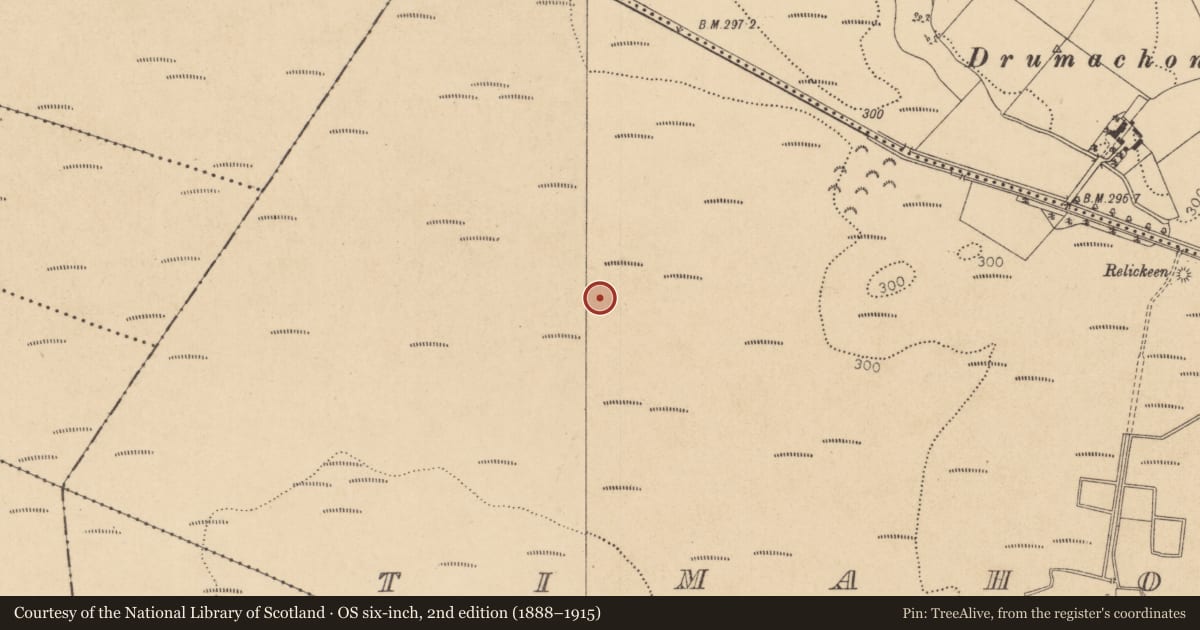 Ordnance Survey six-inch map, 2nd edition (1888–1915) covering the location of Structure - peatland, Timahoe West, County Kildare, with a pin at the register's coordinates