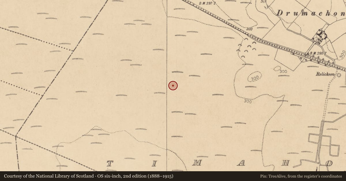 Ordnance Survey six-inch map, 2nd edition (1888–1915) covering the location of Structure - peatland, Timahoe West, County Kildare, with a pin at the register's coordinates