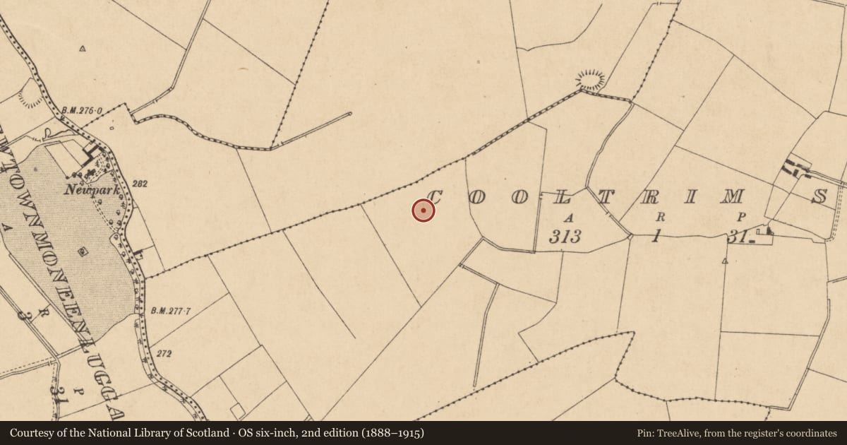 Ordnance Survey six-inch map, 2nd edition (1888–1915) covering the location of Enclosure, Cooltrim South, County Kildare, with a pin at the register's coordinates