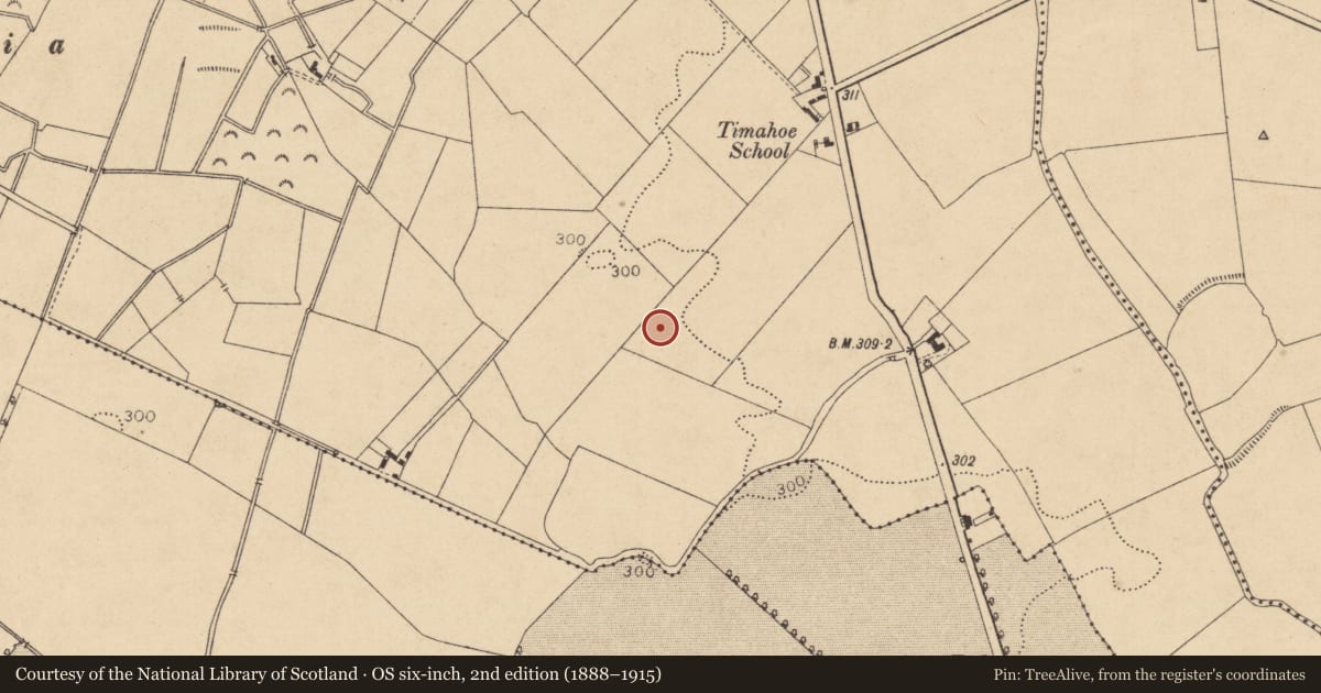 Ordnance Survey six-inch map, 2nd edition (1888–1915) covering the location of Enclosure, Timahoe West, County Kildare, with a pin at the register's coordinates