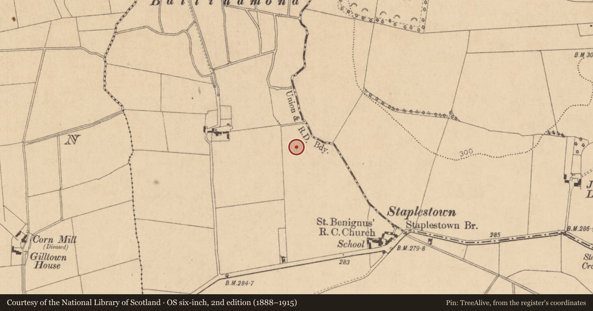 Ordnance Survey six-inch map, 2nd edition (1888–1915) covering the location of Enclosure, Staplestown, County Kildare, with a pin at the register's coordinates