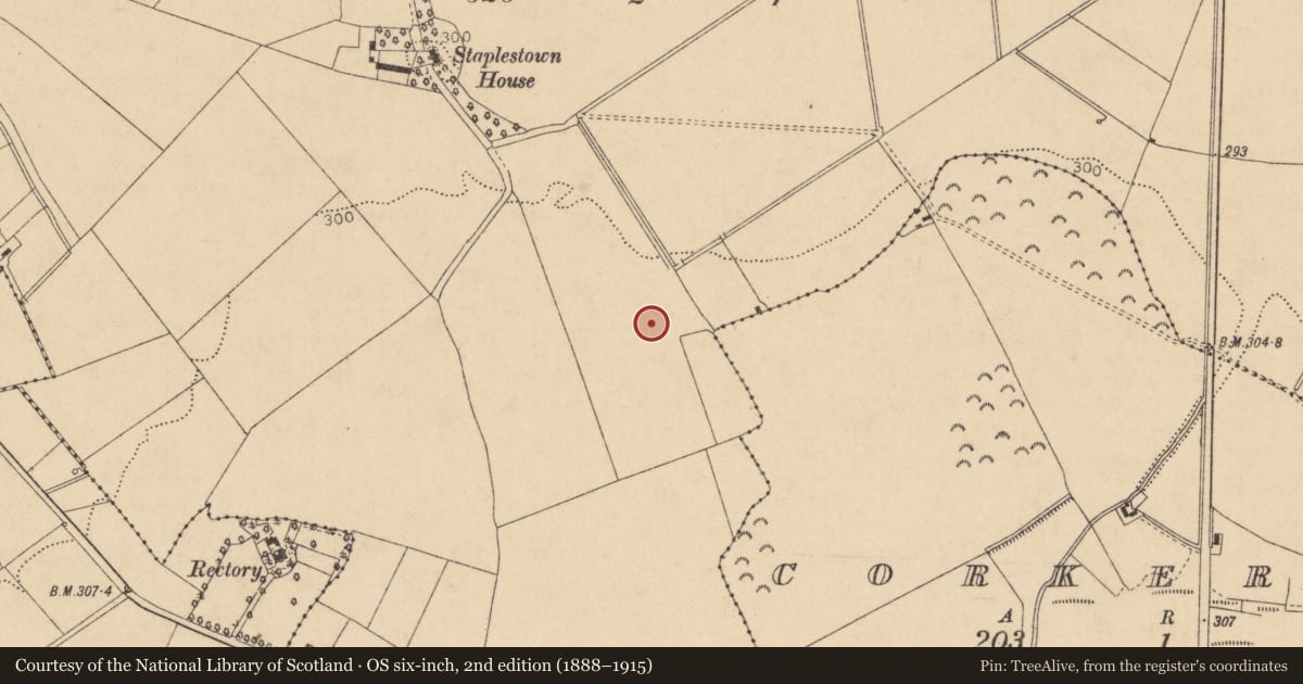 Ordnance Survey six-inch map, 2nd edition (1888–1915) covering the location of Enclosure, Staplestown, County Kildare, with a pin at the register's coordinates