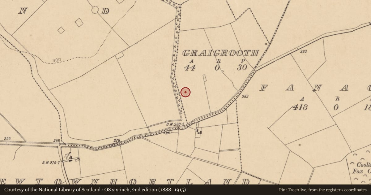 Ordnance Survey six-inch map, 2nd edition (1888–1915) covering the location of Enclosure, Graigrooth, County Kildare, with a pin at the register's coordinates