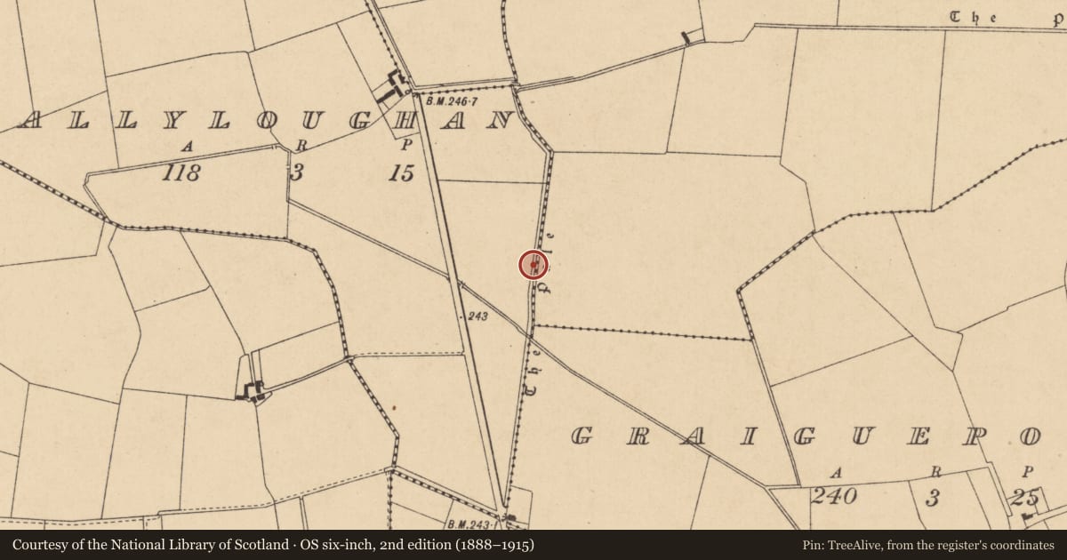 Ordnance Survey six-inch map, 2nd edition (1888–1915) covering the location of Linear earthwork, County Kildare, with a pin at the register's coordinates