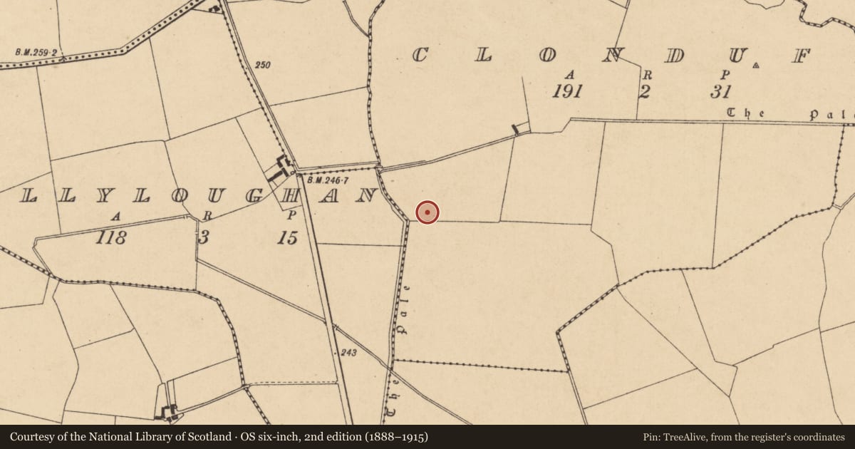 Ordnance Survey six-inch map, 2nd edition (1888–1915) covering the location of Ringfort - rath, Clonduff, County Kildare, with a pin at the register's coordinates