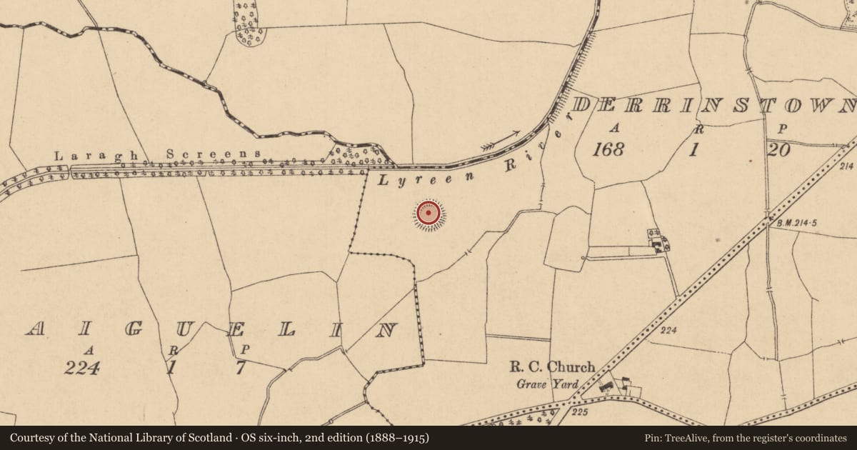 Ordnance Survey six-inch map, 2nd edition (1888–1915) covering the location of Ringfort - rath, Derrinstown, County Kildare, with a pin at the register's coordinates