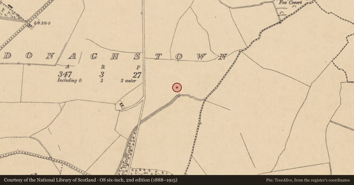 Ordnance Survey six-inch map, 2nd edition (1888–1915) covering the location of Ringfort - rath, Donaghstown, County Kildare, with a pin at the register's coordinates