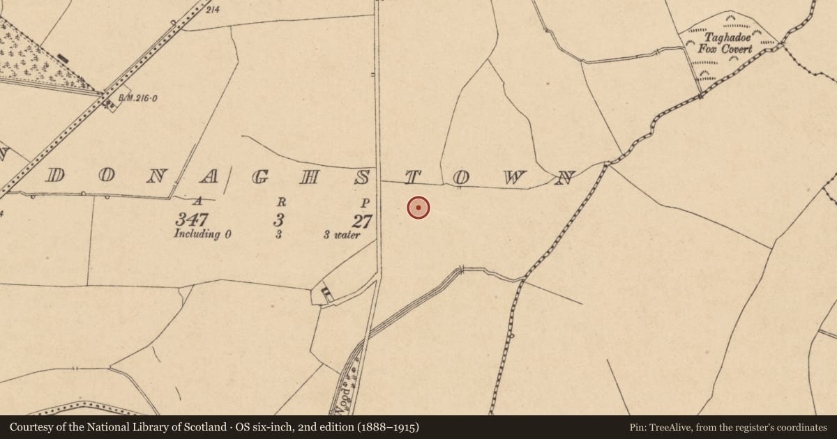 Ordnance Survey six-inch map, 2nd edition (1888–1915) covering the location of Enclosure, Donaghstown, County Kildare, with a pin at the register's coordinates