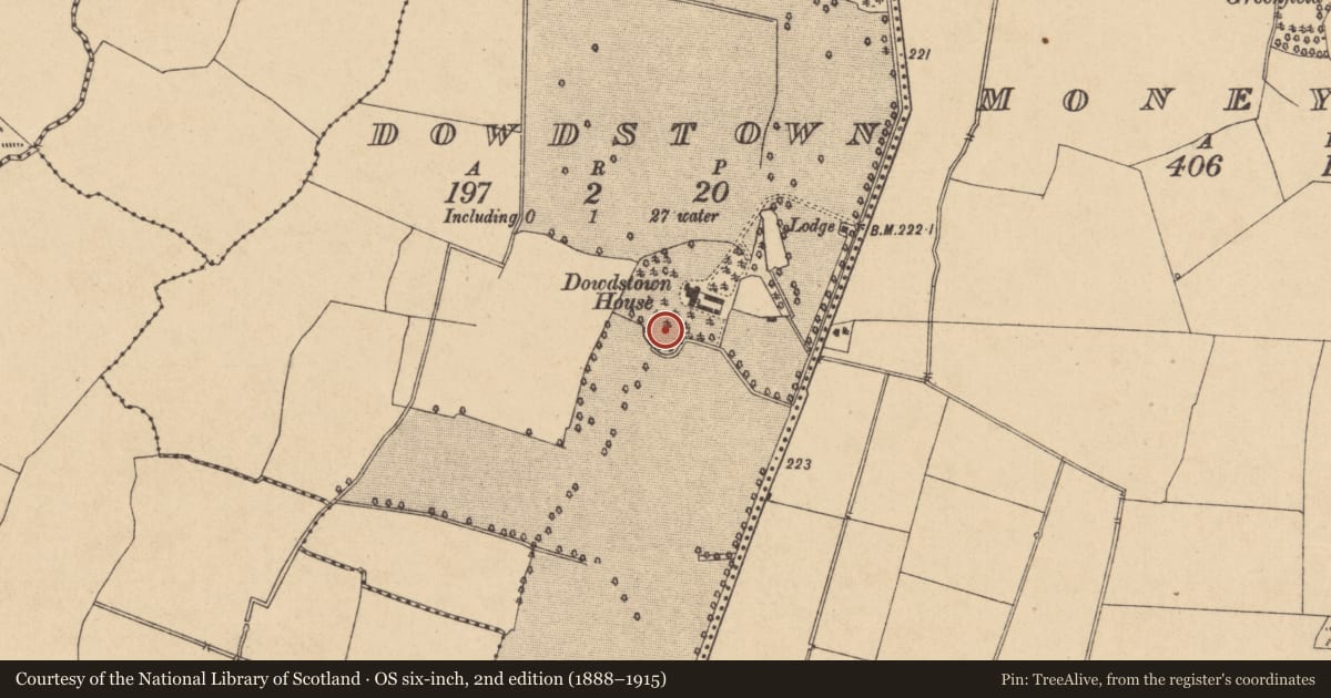 Ordnance Survey six-inch map, 2nd edition (1888–1915) covering the location of Enclosure, Dowdstown, County Kildare, with a pin at the register's coordinates