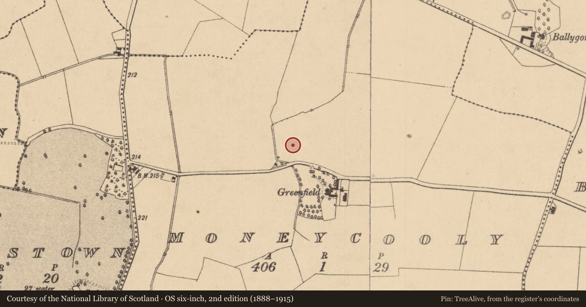 Ordnance Survey six-inch map, 2nd edition (1888–1915) covering the location of Field system, Moneycooly, County Kildare, with a pin at the register's coordinates