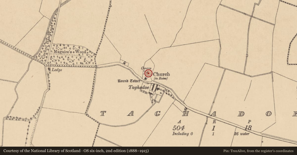Ordnance Survey six-inch map, 2nd edition (1888–1915) covering the location of Ecclesiastical site, Taghadoe, County Kildare, with a pin at the register's coordinates