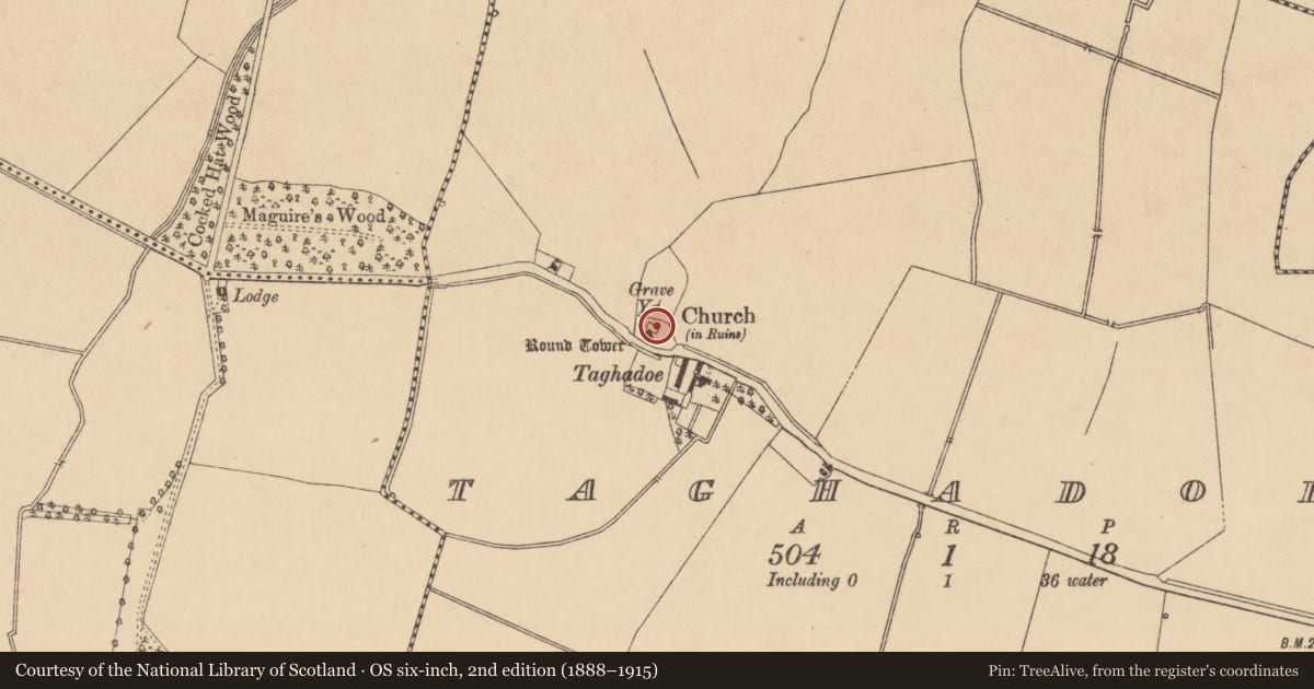 Ordnance Survey six-inch map, 2nd edition (1888–1915) covering the location of Church, Taghadoe, County Kildare, with a pin at the register's coordinates