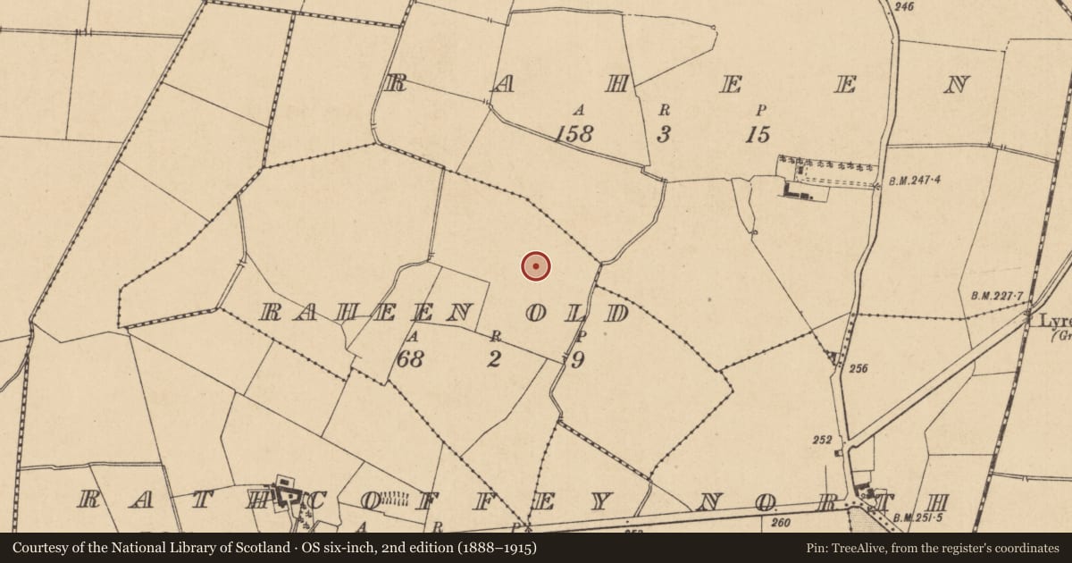 Ordnance Survey six-inch map, 2nd edition (1888–1915) covering the location of Barrow - ring-barrow, Raheen Old, County Kildare, with a pin at the register's coordinates