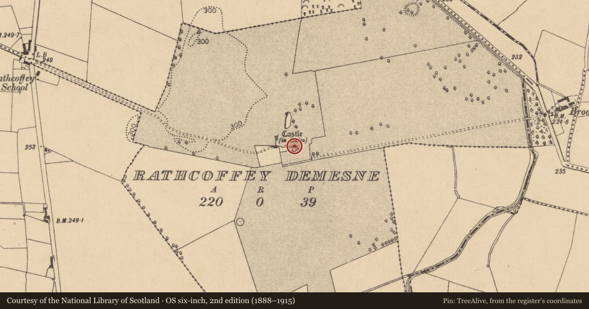 Ordnance Survey six-inch map, 2nd edition (1888–1915) covering the location of Castle - Anglo-Norman masonry castle, Rathcoffey Demesne, County Kildare, with a pin at the register's coordinates