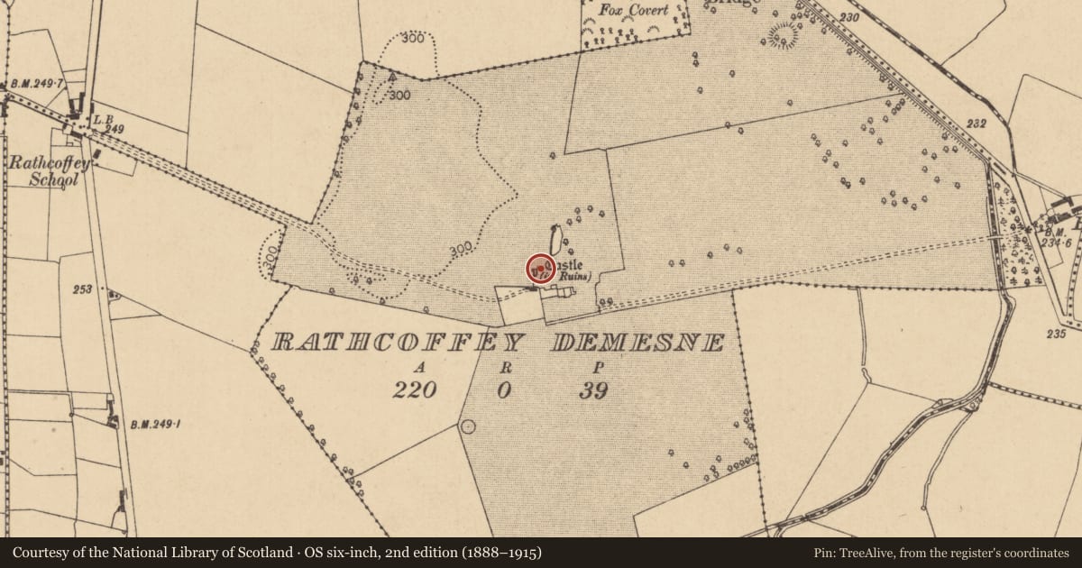 Ordnance Survey six-inch map, 2nd edition (1888–1915) covering the location of Gatehouse, Rathcoffey Demesne, County Kildare, with a pin at the register's coordinates