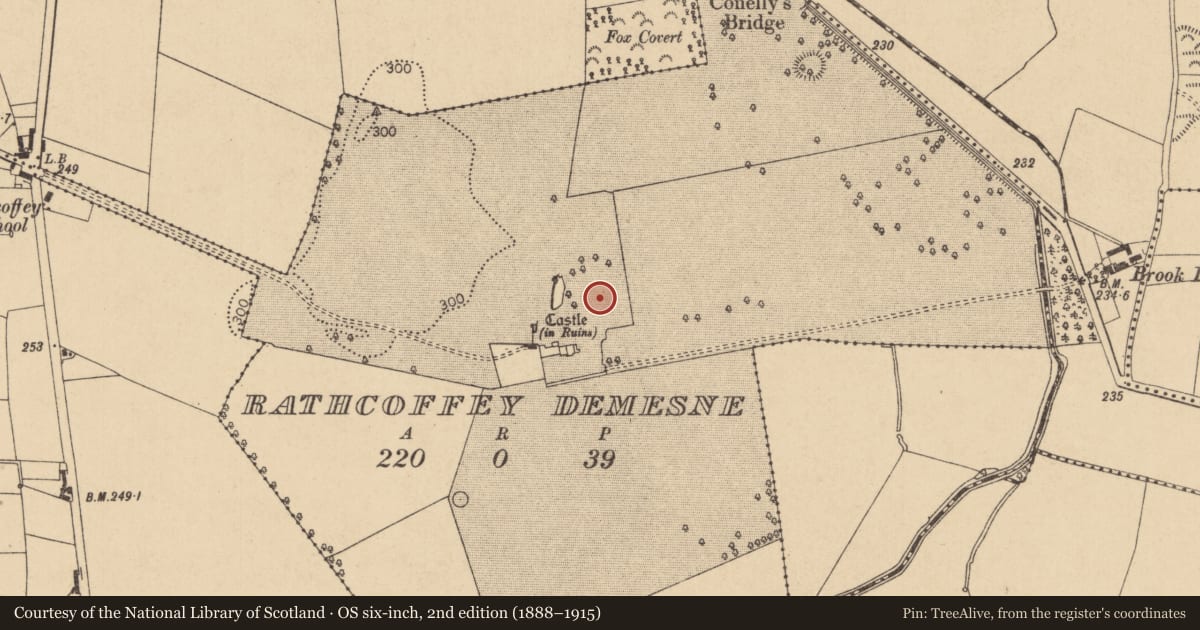 Ordnance Survey six-inch map, 2nd edition (1888–1915) covering the location of Designed landscape - formal garden, Rathcoffey Demesne, County Kildare, with a pin at the register's coordinates