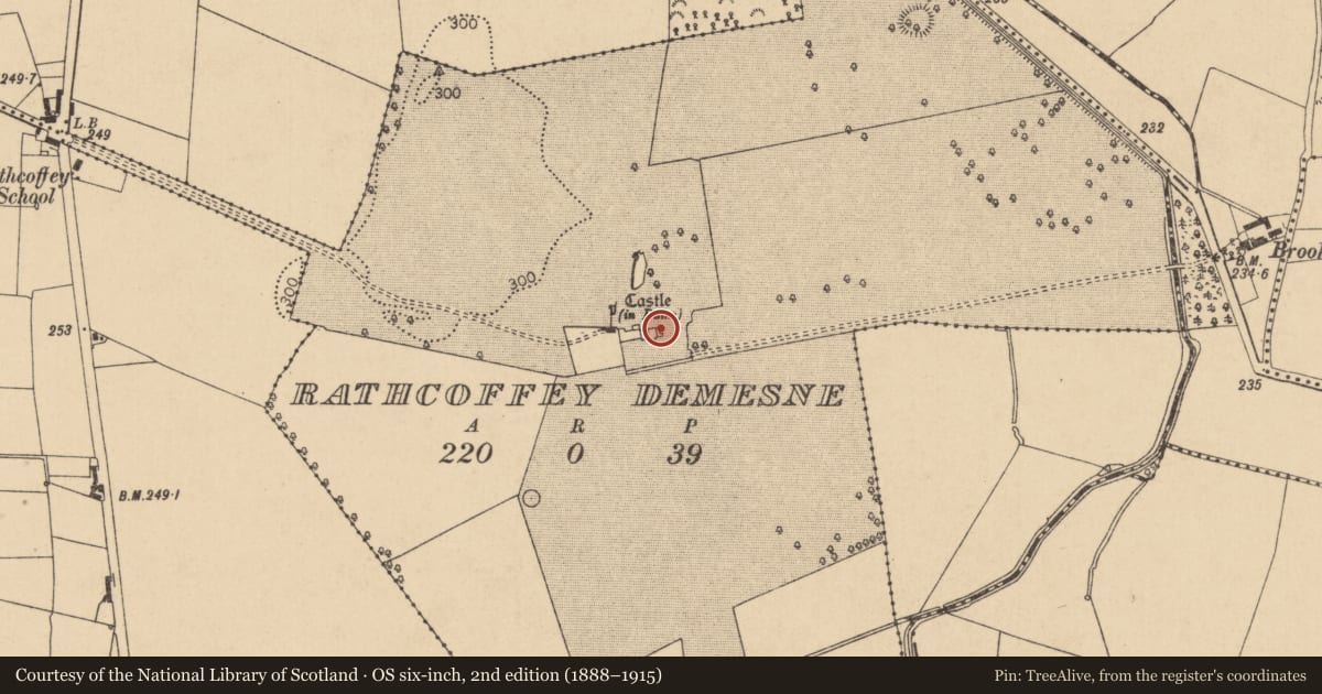 Ordnance Survey six-inch map, 2nd edition (1888–1915) covering the location of House - fortified house, Rathcoffey Demesne, County Kildare, with a pin at the register's coordinates