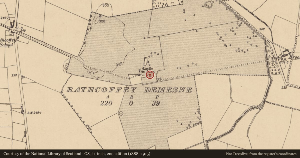 Ordnance Survey six-inch map, 2nd edition (1888–1915) covering the location of House - 18th/19th century, Rathcoffey Demesne, County Kildare, with a pin at the register's coordinates
