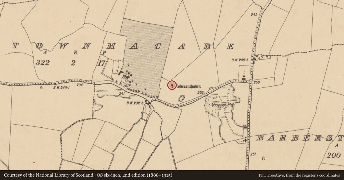 Ordnance Survey six-inch map, 2nd edition (1888–1915) covering the location of Ritual site - holy well, Newtownmacabe, County Kildare, with a pin at the register's coordinates