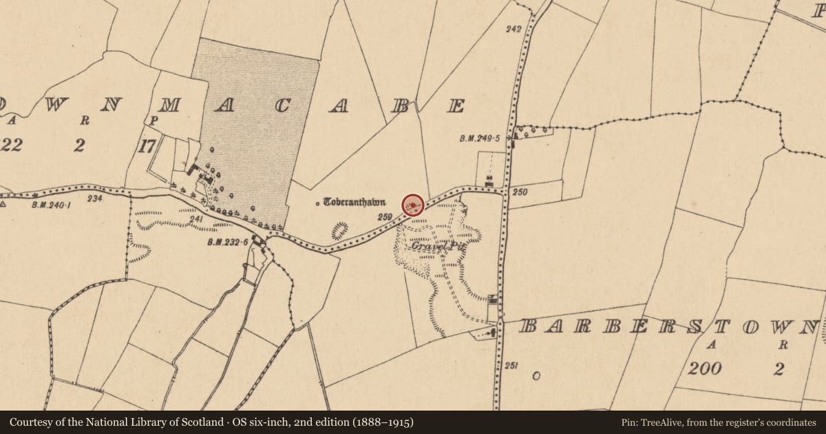 Ordnance Survey six-inch map, 2nd edition (1888–1915) covering the location of Cist, Newtownmacabe, County Kildare, with a pin at the register's coordinates