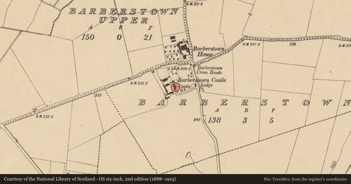 Ordnance Survey six-inch map, 2nd edition (1888–1915) covering the location of Castle - tower house, Barberstown, County Kildare, with a pin at the register's coordinates