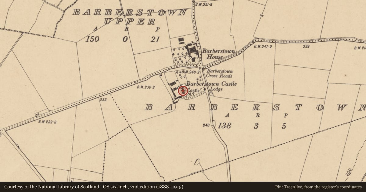 Ordnance Survey six-inch map, 2nd edition (1888–1915) covering the location of Bawn, Barberstown, County Kildare, with a pin at the register's coordinates