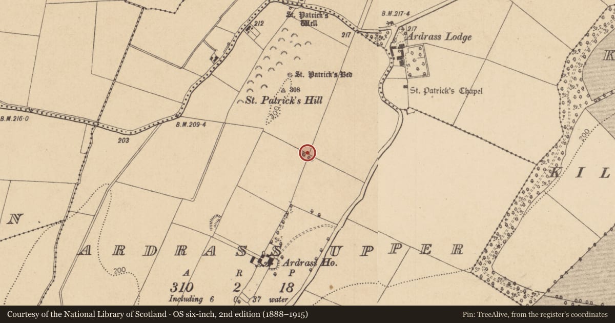Ordnance Survey six-inch map, 2nd edition (1888–1915) covering the location of Ringfort - rath, Ardrass Upper, County Kildare, with a pin at the register's coordinates