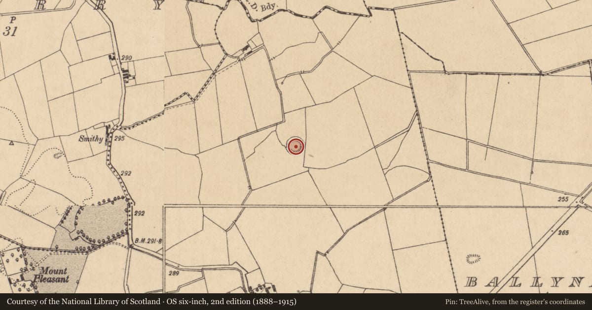 Ordnance Survey six-inch map, 2nd edition (1888–1915) covering the location of Ringfort - rath, Betaghstown, County Kildare, with a pin at the register's coordinates