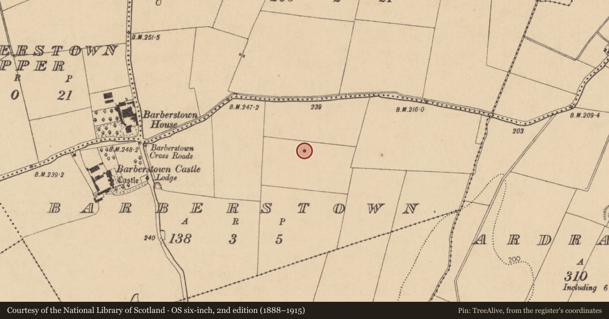 Ordnance Survey six-inch map, 2nd edition (1888–1915) covering the location of Enclosure, Barberstown, County Kildare, with a pin at the register's coordinates