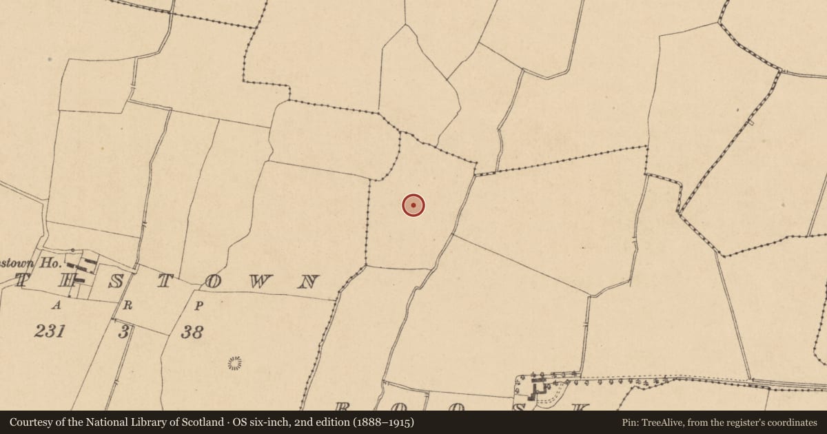 Ordnance Survey six-inch map, 2nd edition (1888–1915) covering the location of Enclosure, Roosk, County Kildare, with a pin at the register's coordinates